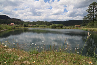 Side lake at Greer meadow lakes